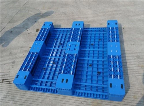 Paledi Plastig Rasio